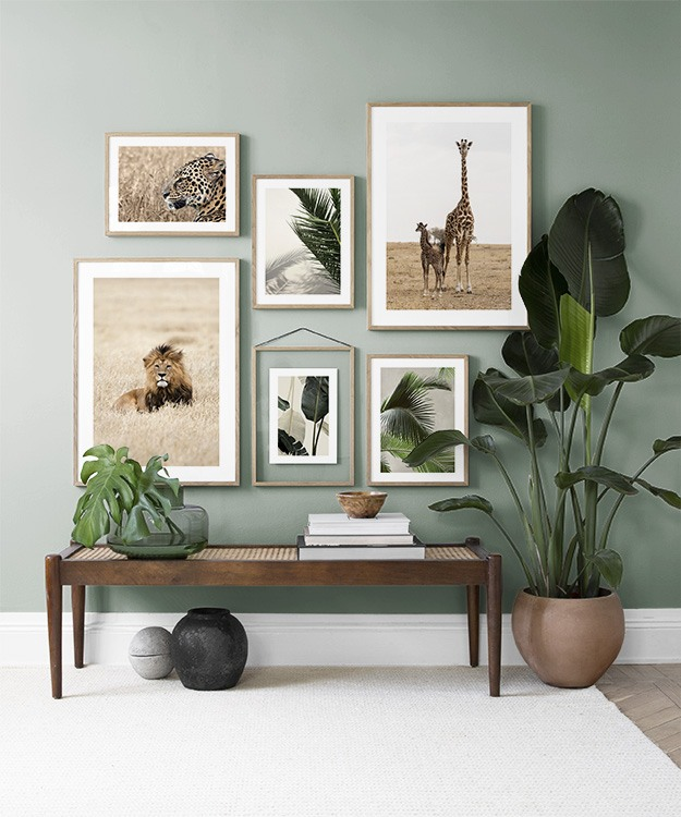 Wildlife & leaves gallery wall Wildlife & leaves gallery wall